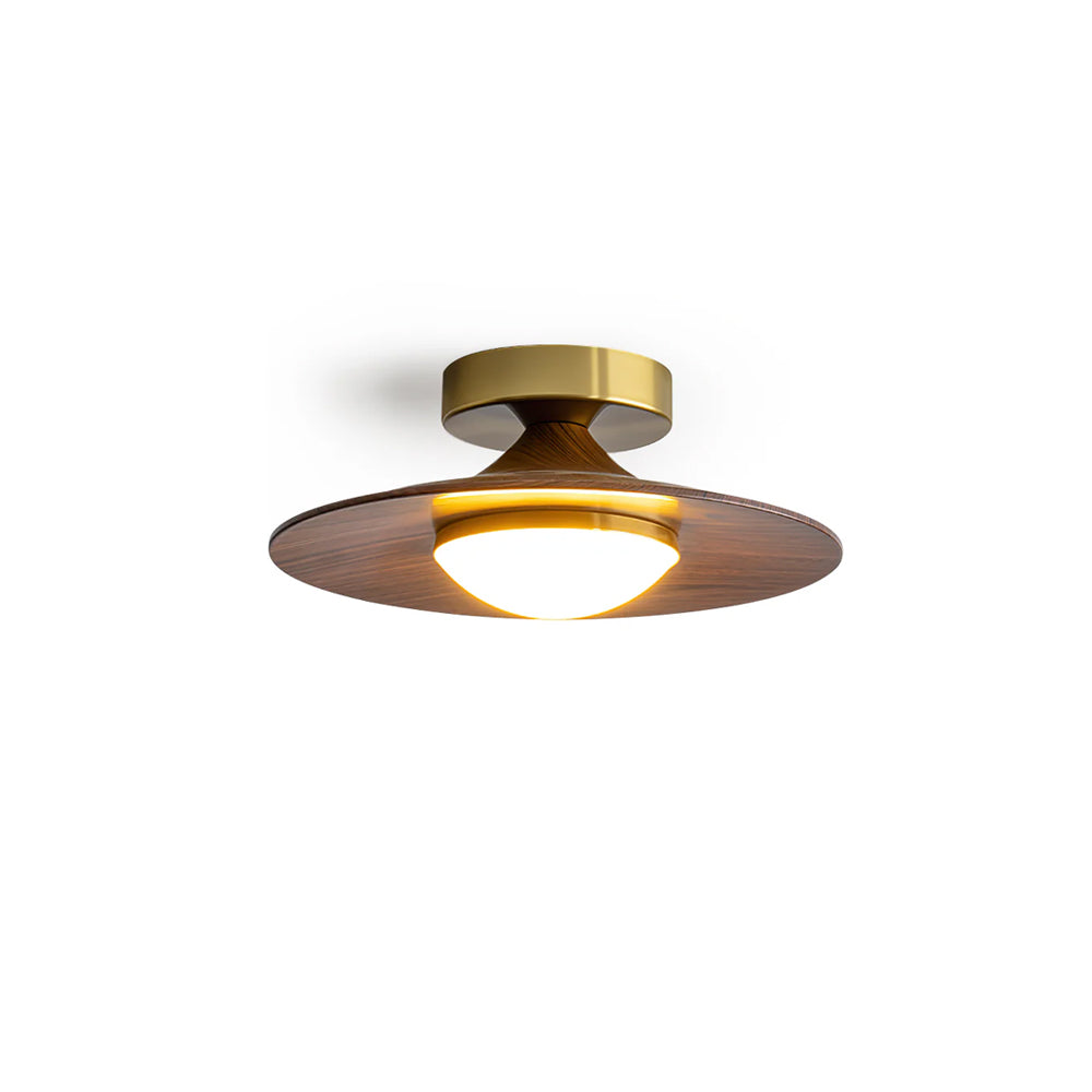 Oakley Ceiling Lamp