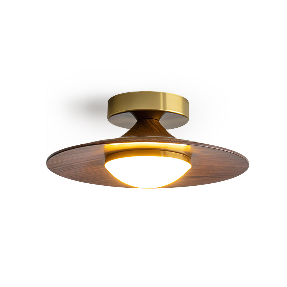 Oakley Ceiling Lamp