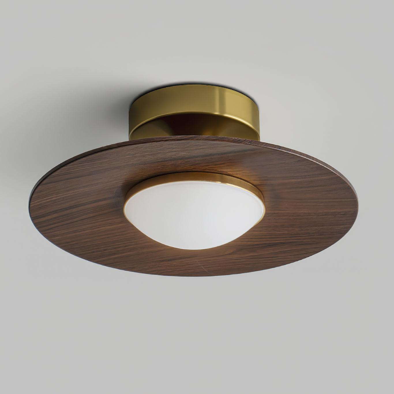 Oakley Ceiling Lamp