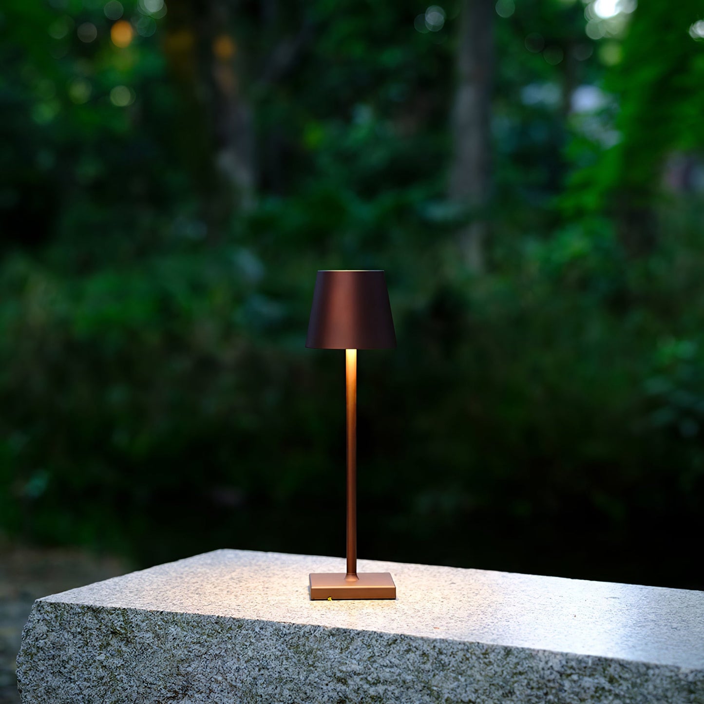 Poldina Built-in Battery Table Lamp